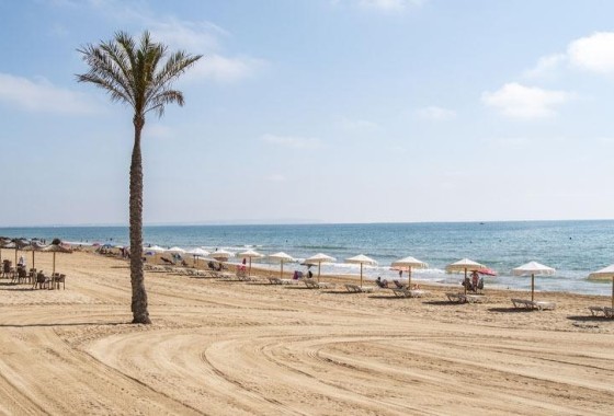 New Build - Wohnung / Appartement -
Guardamar del Segura - Pueblo