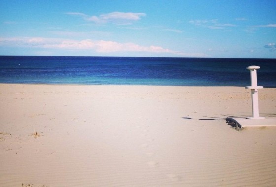 Obra Nueva - Apartamento / Piso -
Pilar de la Horadada - Parque Ramon eugenio Escudero