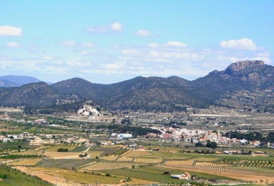 New Build - Freistehende Villa -
La Romana - Batistes