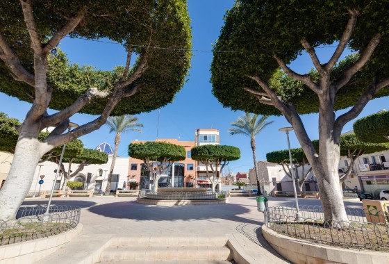 New Build - Apartment Flat -
San Fulgencio - Pueblo