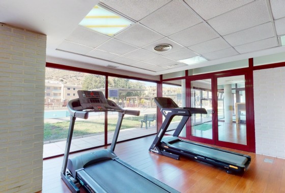 NIEUWBOUW - Appartement / Flat -
Archena - Villanueva del Rio Segura