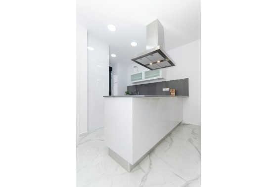 New Build - Freistehende Villa -
Torrevieja - Torretas