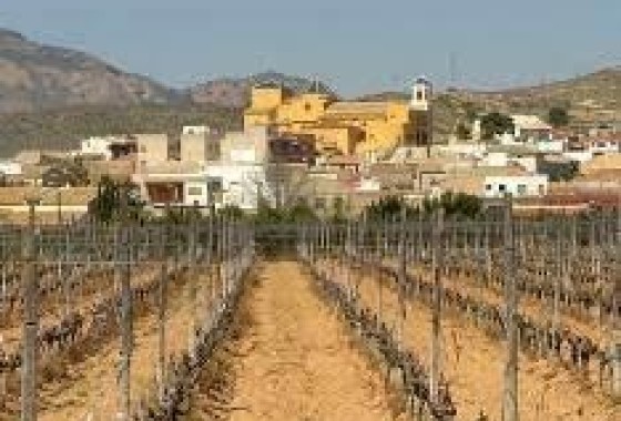 NIEUWBOUW - Appartement / Flat -
Hondón de las Nieves - El Salero