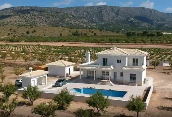 New Build - Detached Villa -
Pinoso - Camino Del Prado