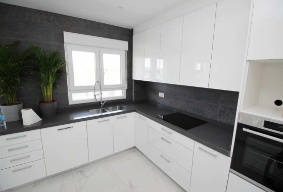 Obra Nueva - Chalet Independiente -
Pinoso - Camino Del Prado