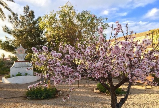 NIEUWBOUW - Vrijstaande Villa -
Los Urrutias - ESTRELLA DE MAR