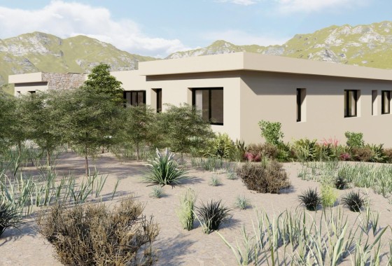 New Build - Freistehende Villa -
Yecla