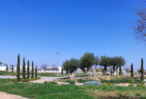 Nouvelle construction - Appartement -
Torre Pacheco - Centro