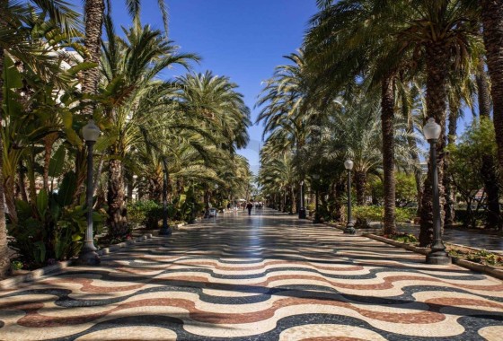 New Build - Apartment / Flat -
Alicante - Alicante (Alacant)