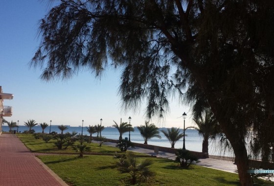 NIEUWBOUW - Vrijstaande Villa -
Los Alcazares - Torre del Rame