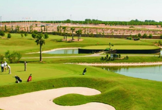 New Build - Wohnung / Appartement -
Pilar de la Horadada - Parque Ramon eugenio Escudero