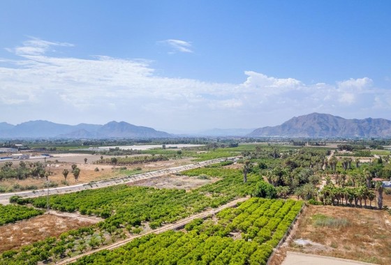 Nouvelle construction - Appartement -
Jacarilla - pueblo