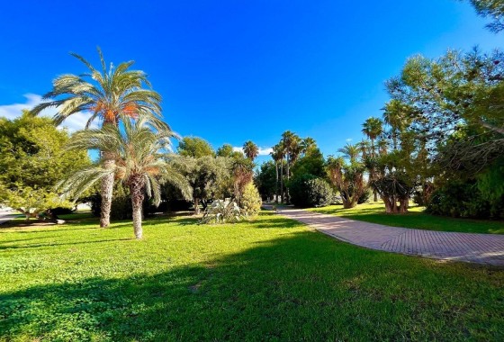 Herverkoop - Stadswoning -
Torrevieja - Calas blanca