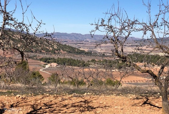 Sprzedaż - Willa wolnostojąca -
Encebras - Encebras Alicante