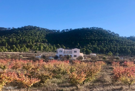 Sprzedaż - Willa wolnostojąca -
Encebras - Encebras Alicante