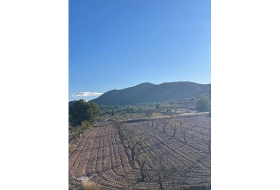 Sprzedaż - Willa wolnostojąca -
Encebras - Encebras Alicante