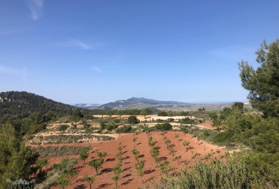 Sprzedaż - Willa wolnostojąca -
Encebras - Encebras Alicante