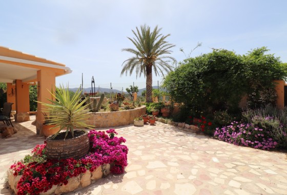 Sprzedaż - Finca / Dom wiejski -
Hondón de las Nieves - La Canalosa