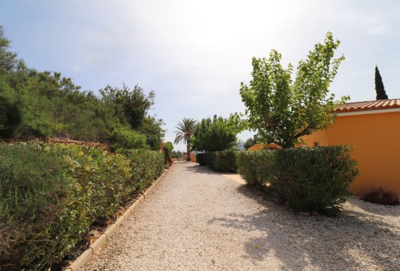 Sprzedaż - Finca / Dom wiejski -
Hondón de las Nieves - La Canalosa