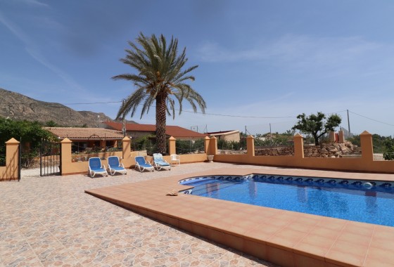 Sprzedaż - Finca / Dom wiejski -
Hondón de las Nieves - La Canalosa