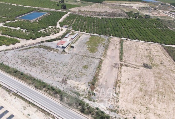 Venta - Finca / Casa de campo -
Los Montesinos