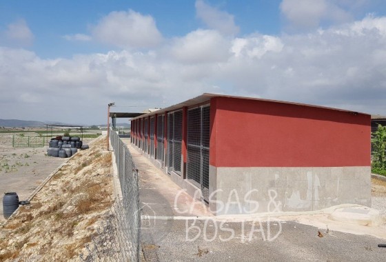 Venta - Finca / Casa de campo -
Los Montesinos
