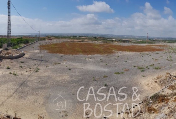 Venta - Finca / Casa de campo -
Los Montesinos