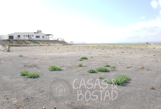 Venta - Finca / Casa de campo -
Los Montesinos