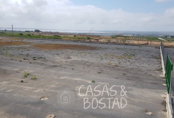 Venta - Finca / Casa de campo -
Los Montesinos