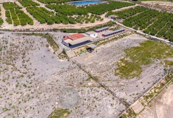 Venta - Finca / Casa de campo -
Los Montesinos