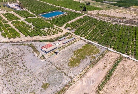 Venta - Finca / Casa de campo -
Los Montesinos