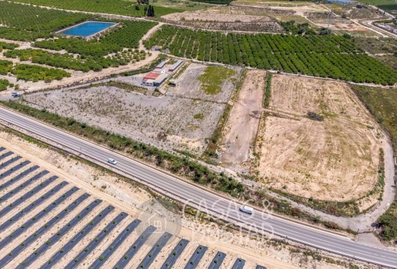 Venta - Finca / Casa de campo -
Los Montesinos