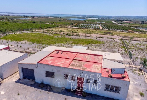 Venta - Finca / Casa de campo -
Los Montesinos