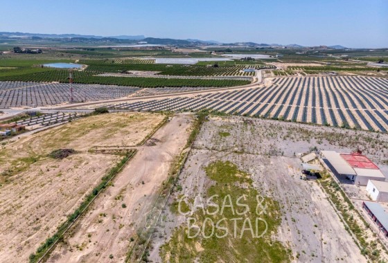 Venta - Finca / Casa de campo -
Los Montesinos