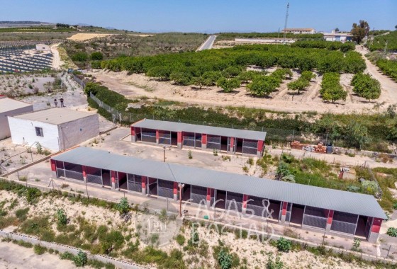 Venta - Finca / Casa de campo -
Los Montesinos