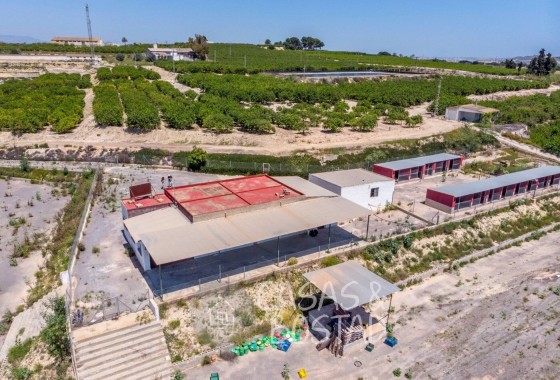 Venta - Finca / Casa de campo -
Los Montesinos