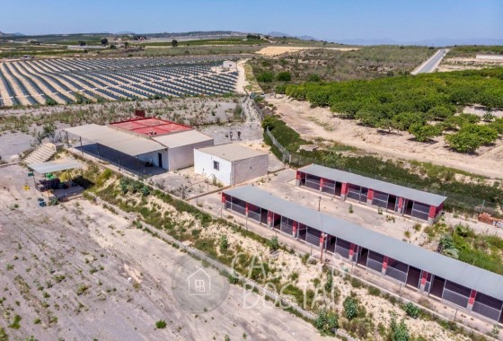 Venta - Finca / Casa de campo -
Los Montesinos