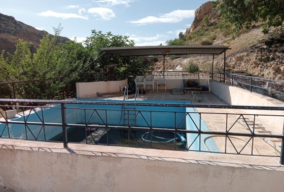 Venta - Finca Propiedad rural -
Crevillente