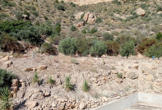 Venta - Finca Propiedad rural -
Crevillente