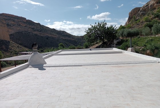 Venta - Finca Propiedad rural -
Crevillente