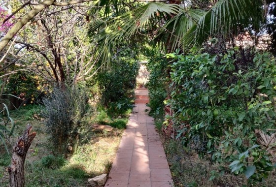 Herverkoop - Finca Landelijk pand -
Orihuela