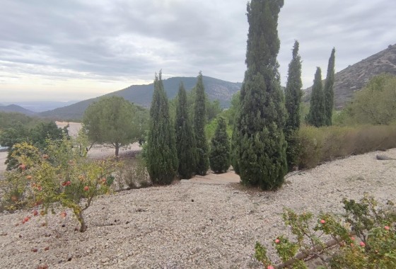 Revente - Appartement -
Orihuela Costa - Villamartín