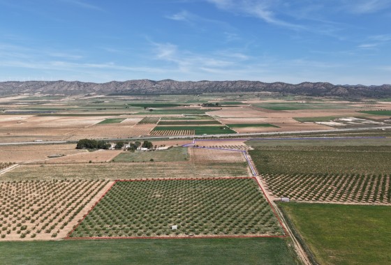 Herverkoop - Perceel / Grond -
Yecla - Yecla Murcia