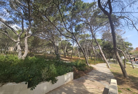 Revente - Appartement -
Guardamar del Segura