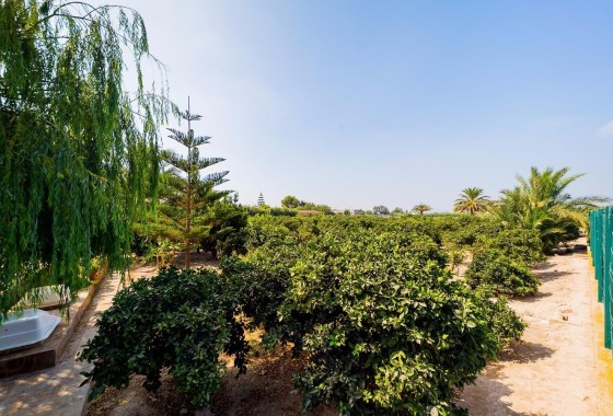 Herverkoop - Finca Landelijk pand -
Almoradí