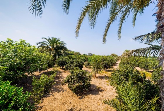 Herverkoop - Finca Landelijk pand -
Almoradí