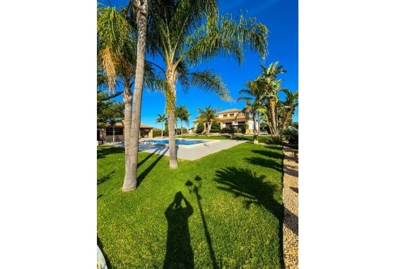 Venta - Finca Propiedad rural -
Orihuela