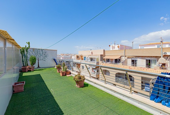 Sprzedaż - Apartament / Mieszkanie -
Torrevieja - Beach