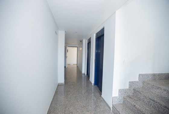 Sprzedaż - Apartament / Mieszkanie -
Torrevieja - Beach