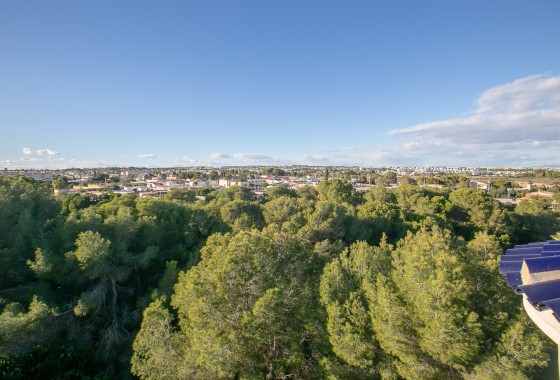 Sprzedaż - Apartament / Mieszkanie -
Lomas de Cabo Roig